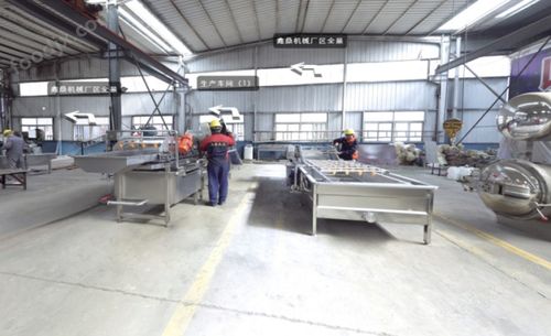 毛豆清洗设备与果蔬加工成套洗涤设备解析