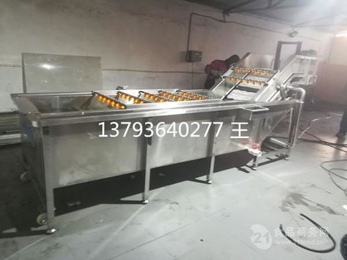 山东果蔬清洗设备价格解析与产品报价指南